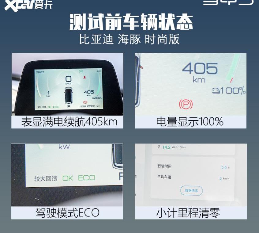 比亚迪,海豚