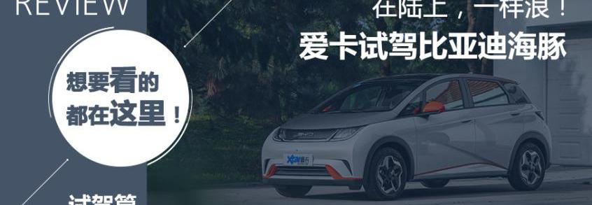 海豚,比亚迪