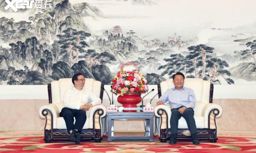 比亚迪,海豚