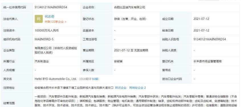 比亚迪,海豚