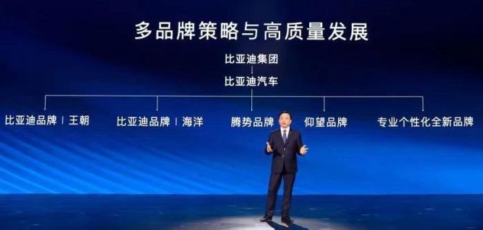 比亚迪,海豹,仰望,元PLUS,海豚