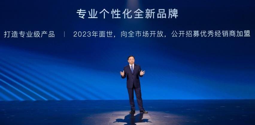 比亚迪,仰望,大众,腾势