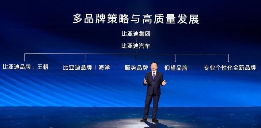 比亚迪,仰望,大众,腾势