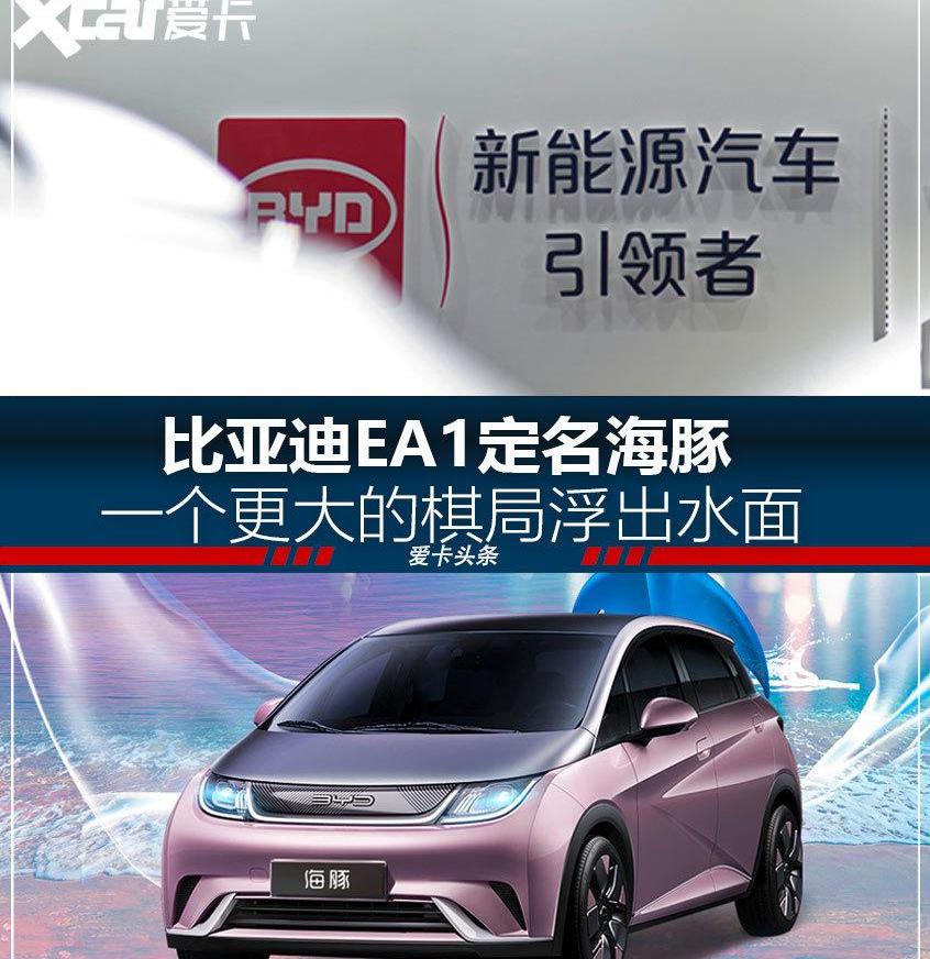比亚迪,海豚,欧拉,长城,欧拉黑猫
