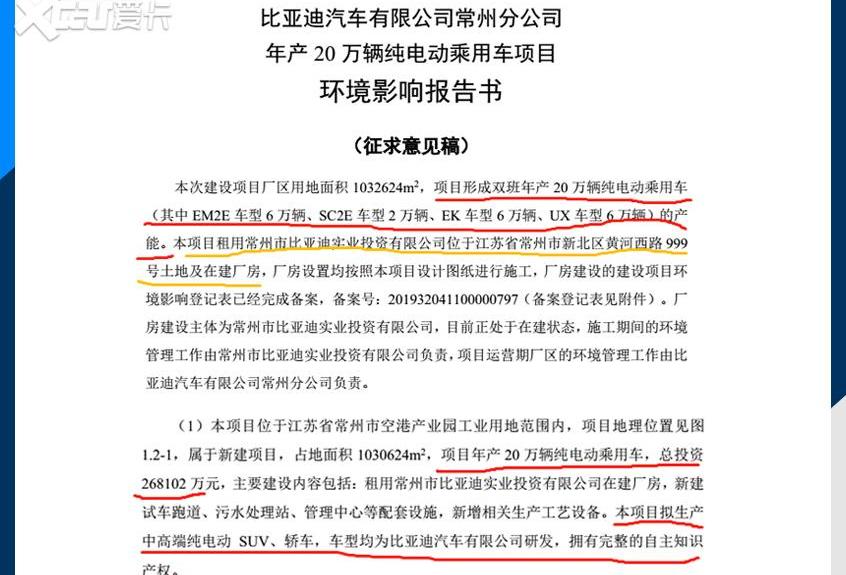 比亚迪,海豚,欧拉,长城,欧拉黑猫