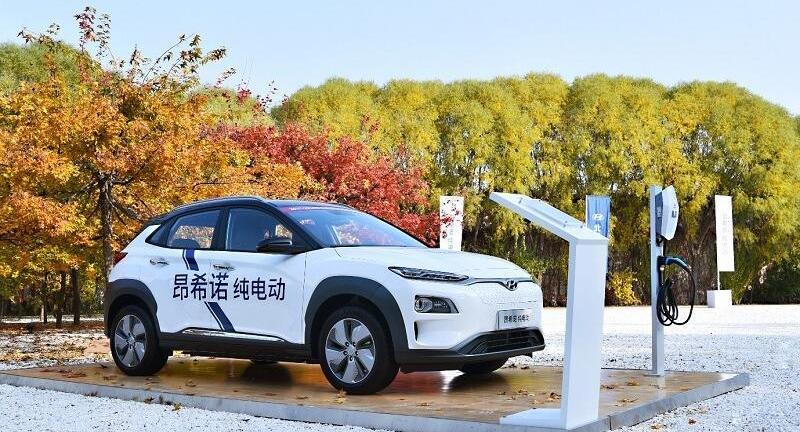 现代,北京,大众,奥迪,宝来