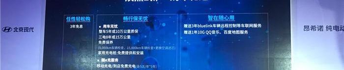 北京,现代,宝马,特斯拉