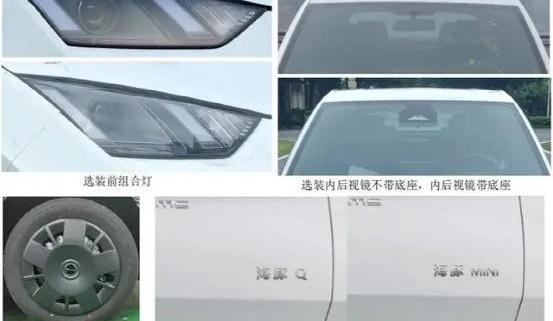 海鸥,比亚迪,海豚