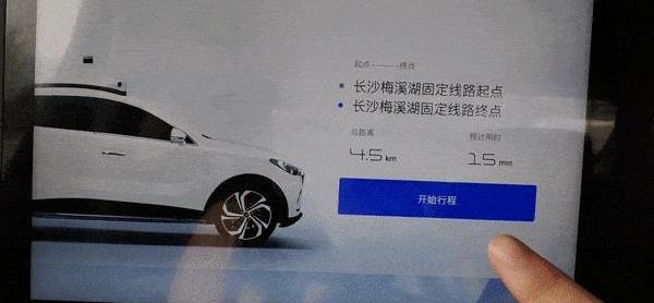 红旗,斑马