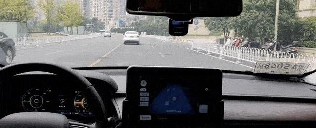 红旗,斑马