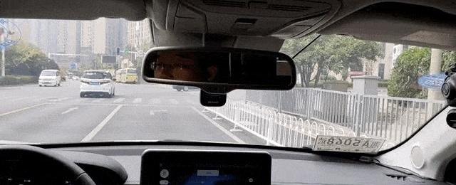 红旗,斑马