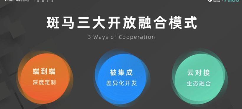 斑马