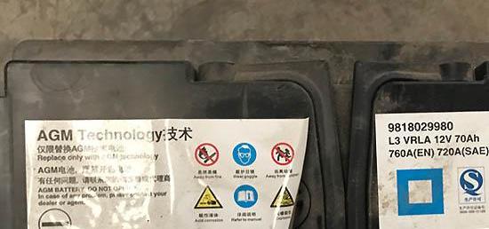 骆驼