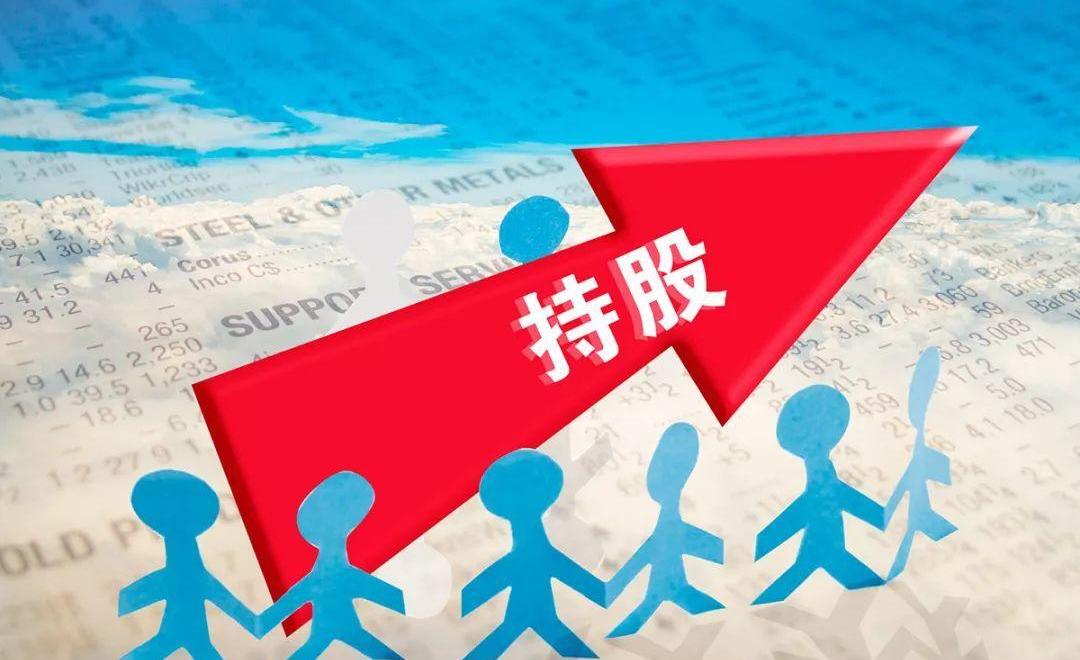 现代,南骏汽车,特斯拉,盛图,创虎
