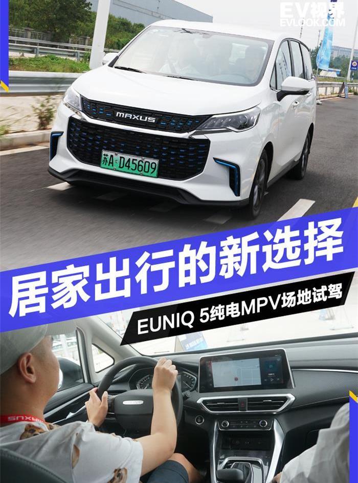 斑马