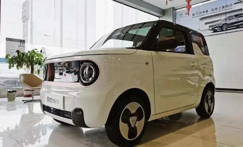 熊猫mini