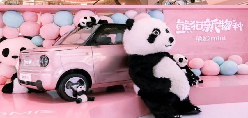熊猫mini,现代,远程