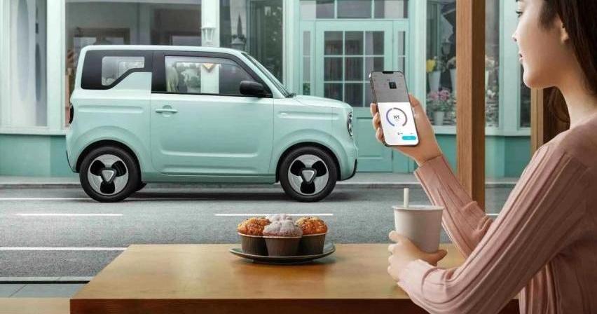 熊猫mini