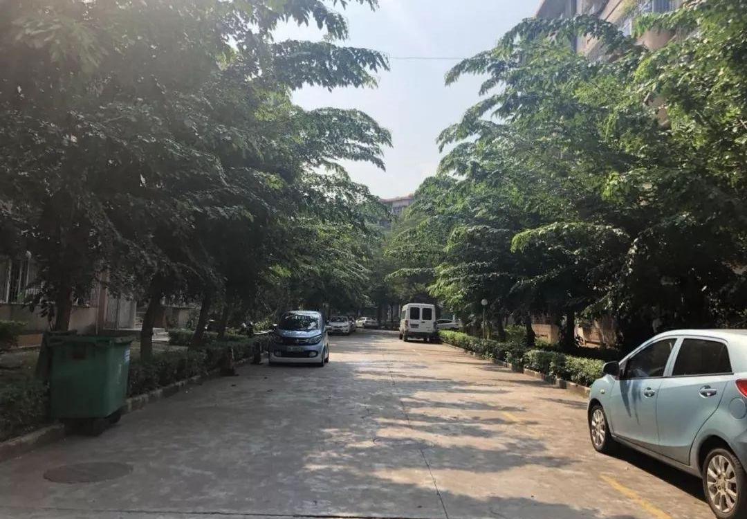 海马,一汽,世纪,马自达