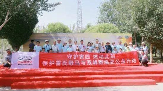 东风,红旗,奇瑞,起亚,长安
