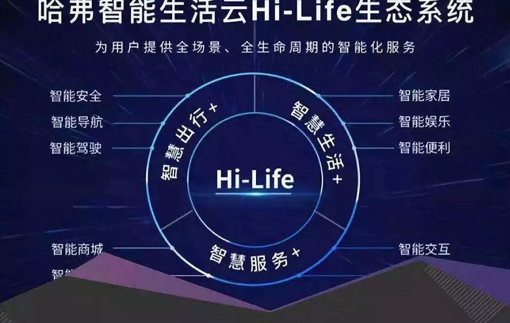 哈弗,理念,远程,大众