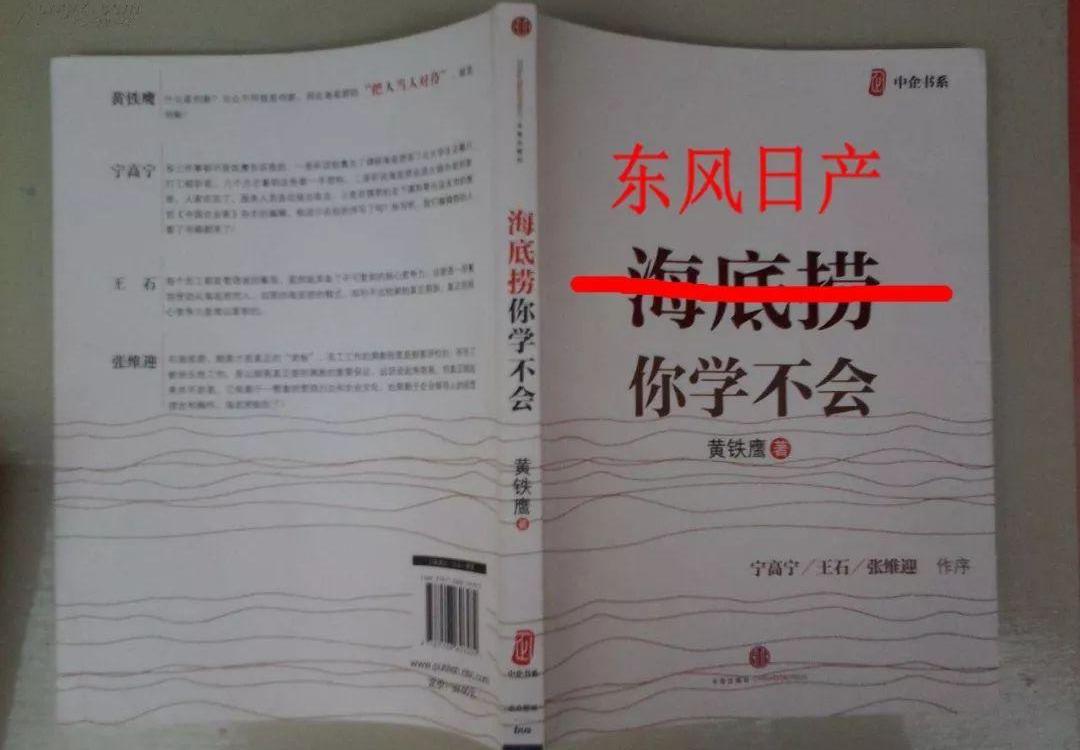 日产,东风,轩逸,蓝鸟,逸达