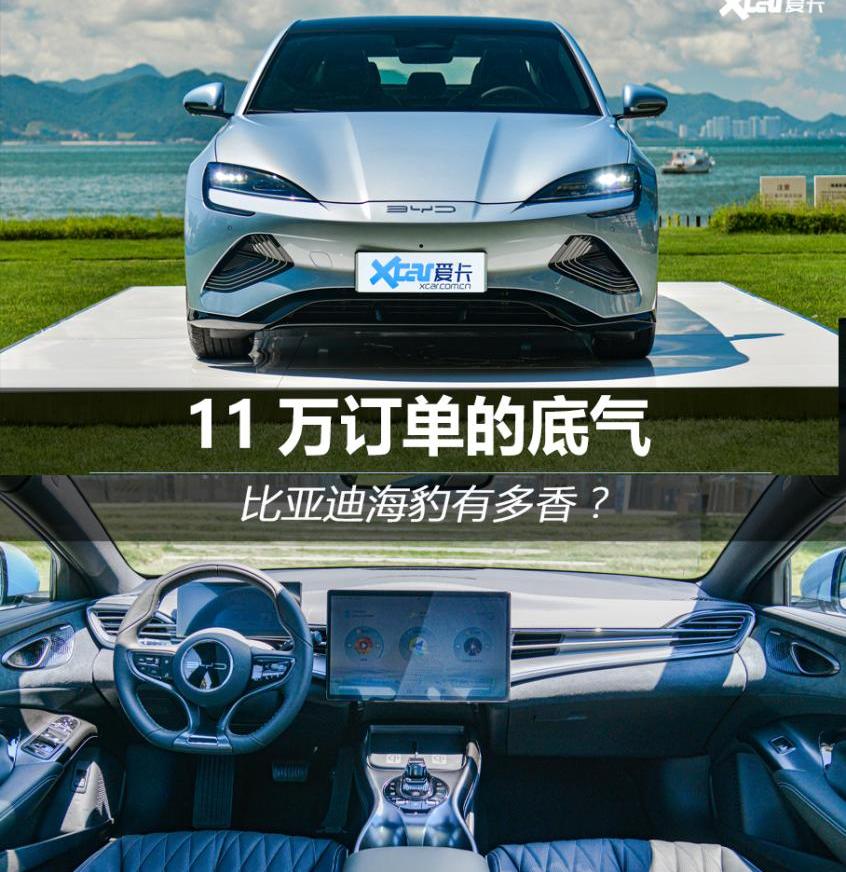 海豹,汉,比亚迪,Model 3,保时捷