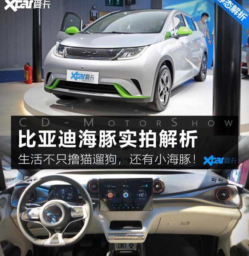 海豚,比亚迪,比亚迪e2