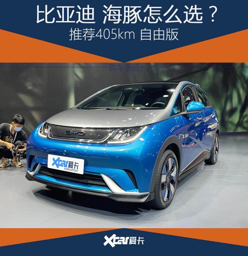 海豚,比亚迪,欧拉