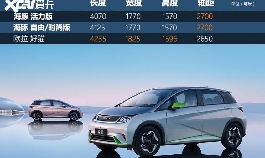 海豚,比亚迪,欧拉