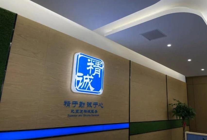 比亚迪,海豹,海豚,DS,发现