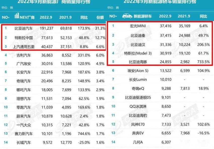 比亚迪,海豚,汉,MINI,特斯拉