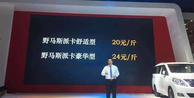 野马汽车,雷丁,野马新能源,北京,福特