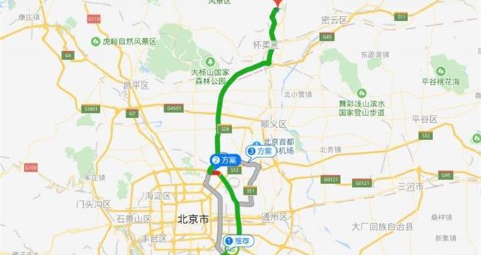 发现,北京,世纪,鲸