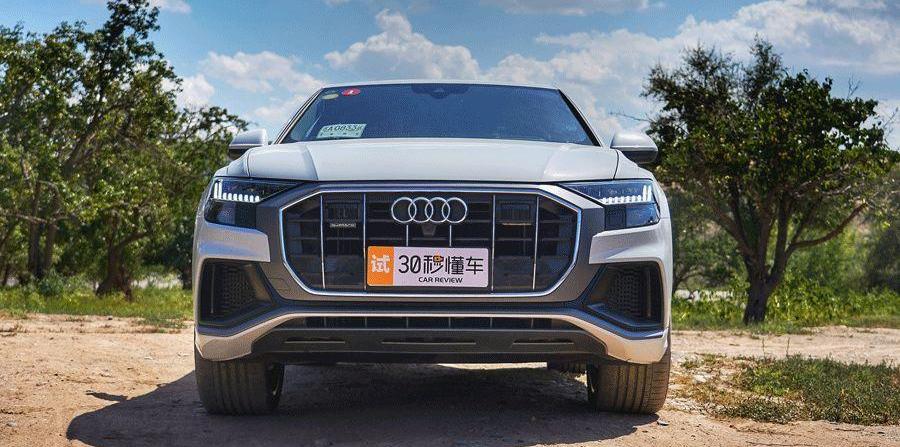 奥迪,奥迪Q8,宝马,宝马X6