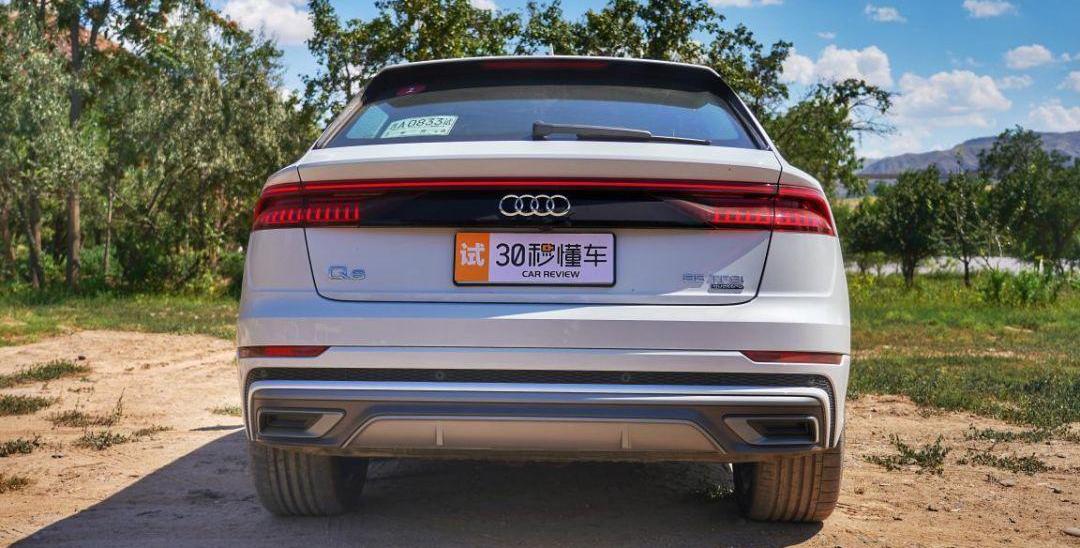 奥迪,奥迪Q8,宝马,宝马X6