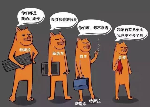 福特,领界,特斯拉,大众,丰田