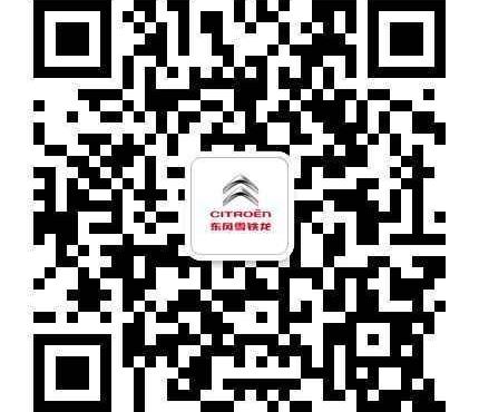 雪铁龙,东风,理念,远程,发现