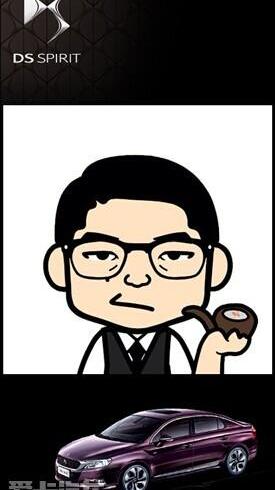 DS,大发
