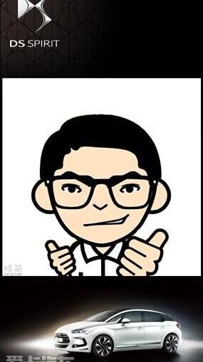 DS,大发