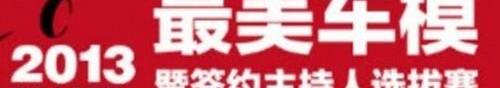 大众,斯柯达
