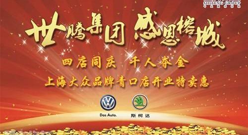 大众,斯柯达,帕萨特,途锐,桑塔纳