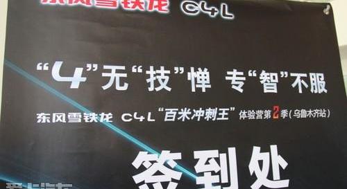 雪铁龙,东风,宝马,奥迪,奔驰