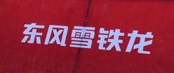 雪铁龙,东风,宝马,奥迪,奔驰