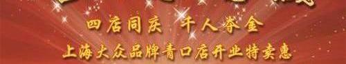 大众,斯柯达,帕萨特,途锐,桑塔纳
