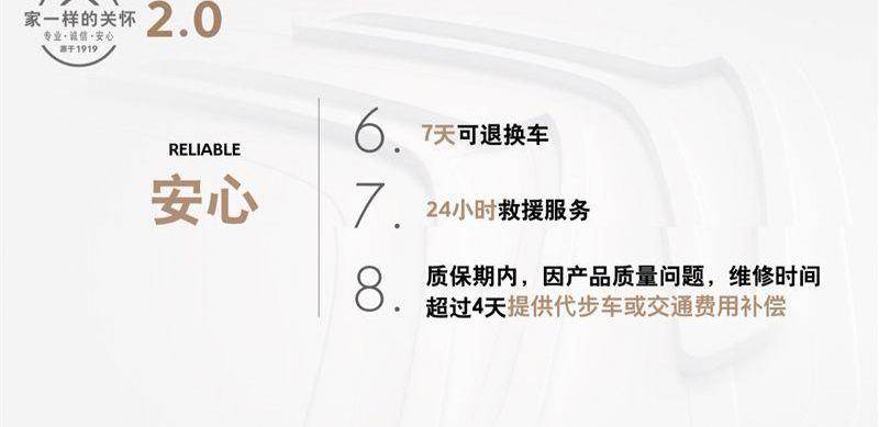 雪铁龙,名爵,名爵ZS,东风,斑马