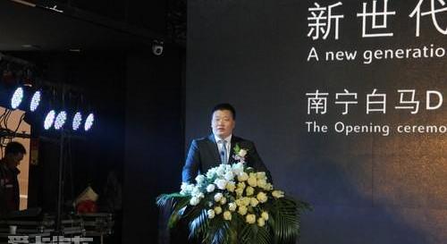 DS,标致,长安,理念,雪铁龙