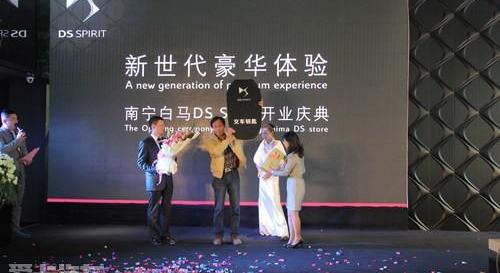 DS,标致,长安,理念,雪铁龙