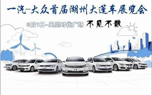 大众,一汽,捷达,迈腾,DS
