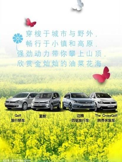 大众,高尔夫,汉,迈腾